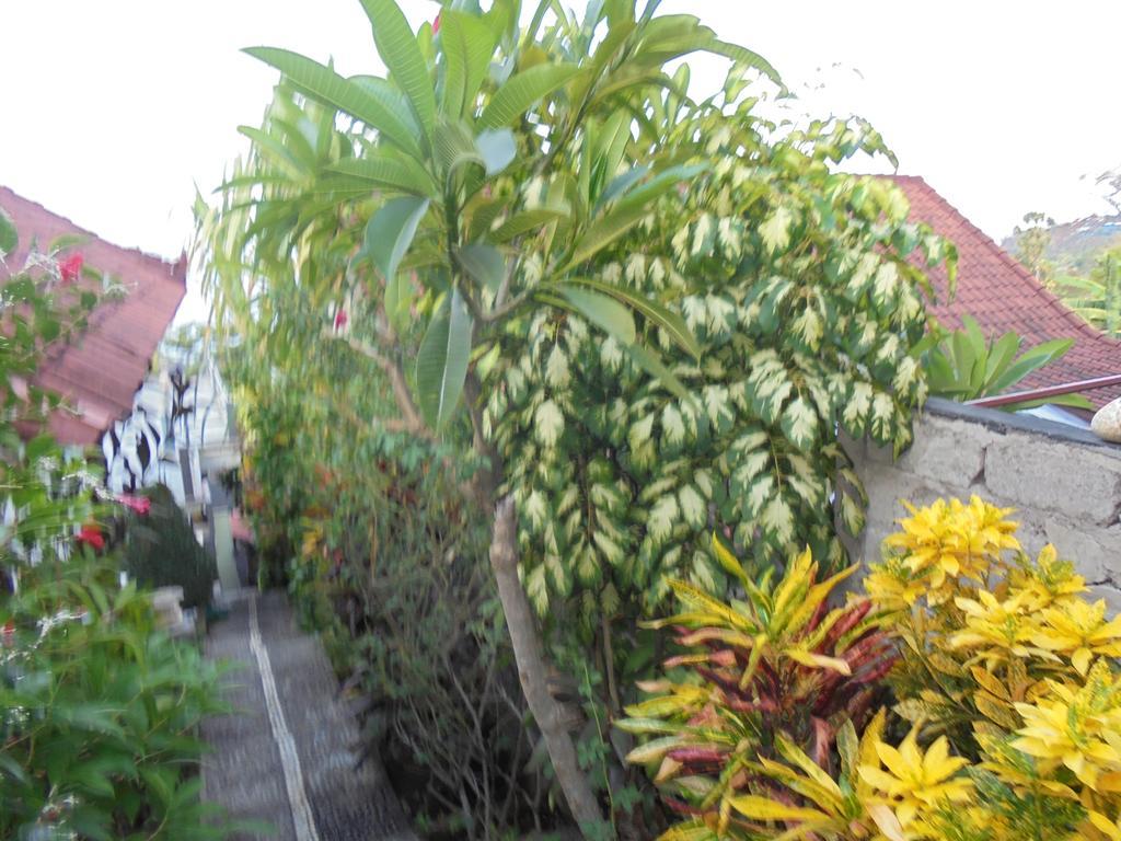 Titi Sedana Homestay Amed Exterior foto
