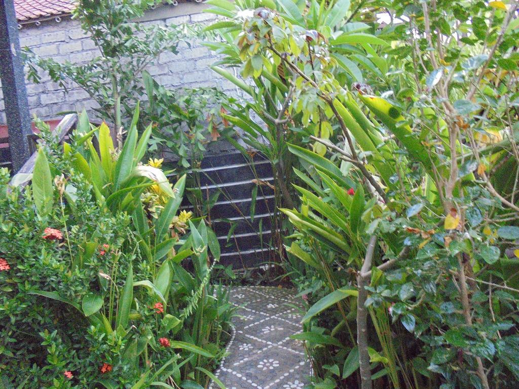 Titi Sedana Homestay Amed Exterior foto