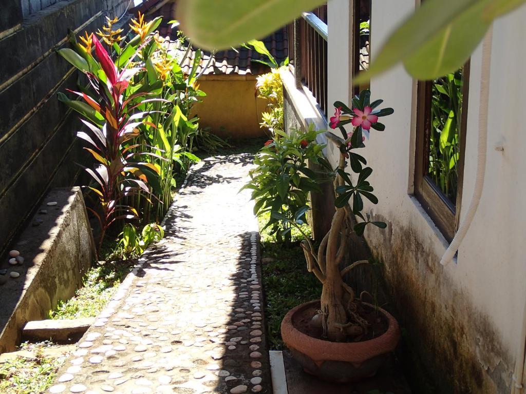 Titi Sedana Homestay Amed Quarto foto